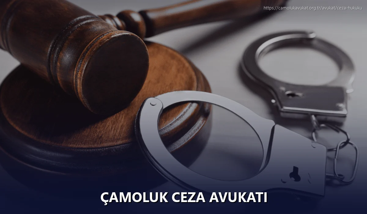 Çamoluk Ceza Avukatı