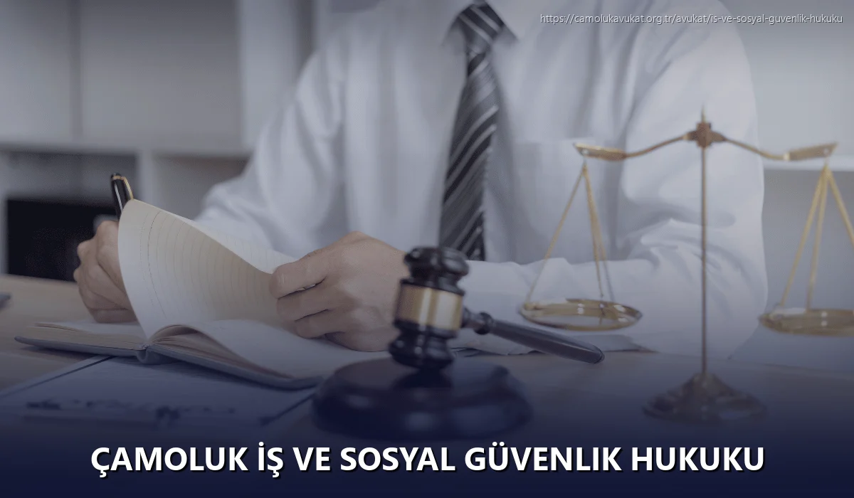 Çamoluk İş ve Sosyal Güvenlik Hukuku