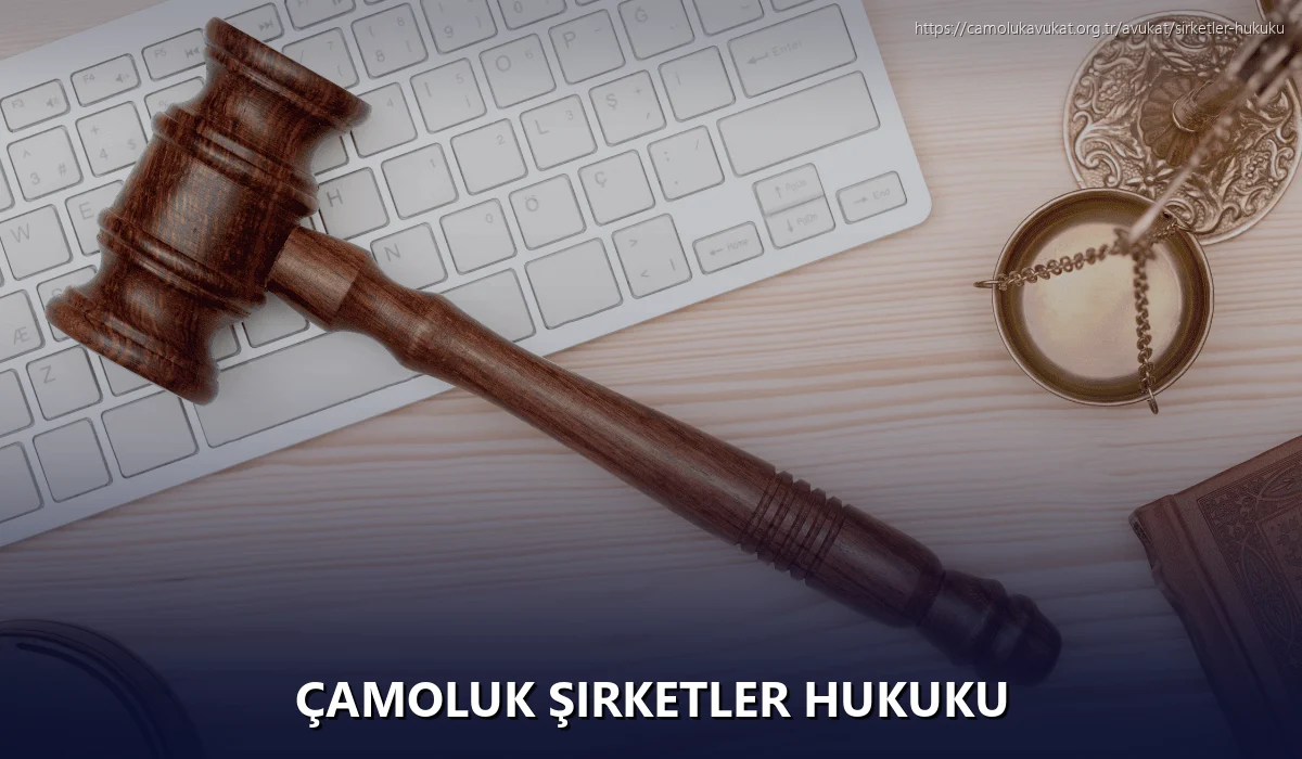Çamoluk Şirketler Hukuku